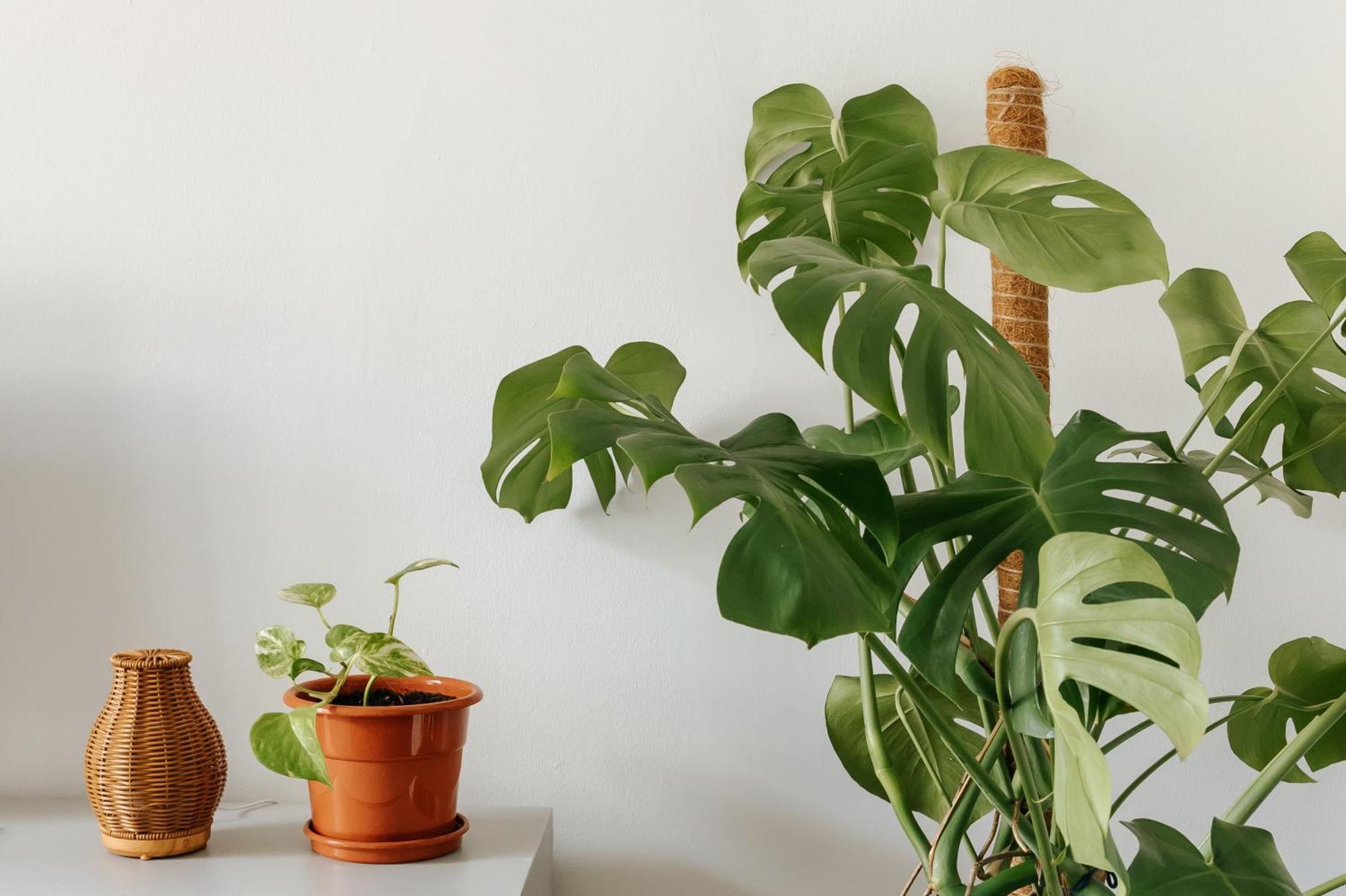 Apartment Diogo's Alcantara I By Mycelia Lissabon